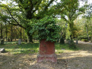 Friedhof III Dessau