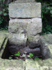 Altes und Neues Jungfernröhrwasser Wittenberg