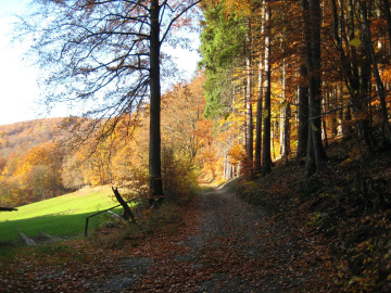 Wälder in der Umgebung von Stolberg